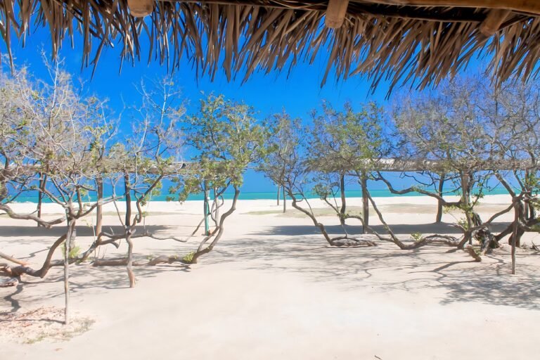 38411894_2176855872592969_7332758017617690624_n.remini-enhanced