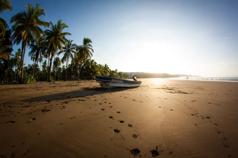 6921e2c2e624c3599adc1d405d8ea183