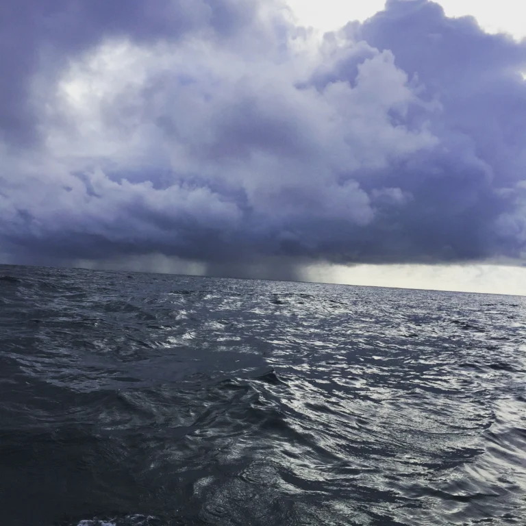 7052afb7a63c0afc997648de18665b93