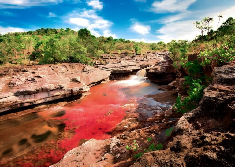 Contenido_Cano_Cristales_01.remini-enhanced