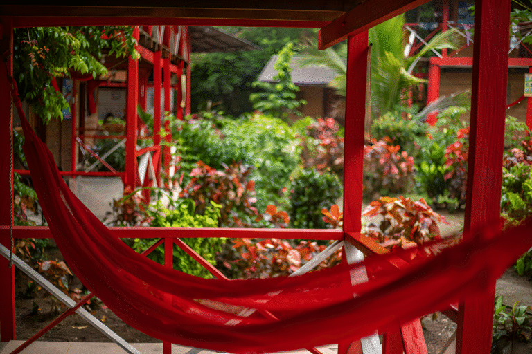 IMG_0025-1024x683.remini-enhanced