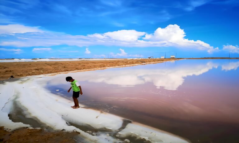 UEFjTazk0oub87VVvaKf5T0MT7luefZArfnrSShtSsEpxChxDqUFaXmZZM88.remini-enhanced