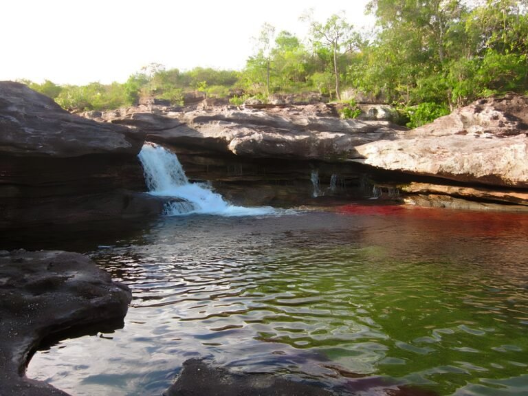 cano-cristales (2).remini-enhanced