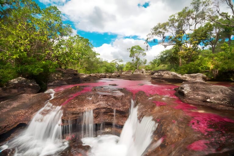 cano-cristales-chivas.remini-enhanced