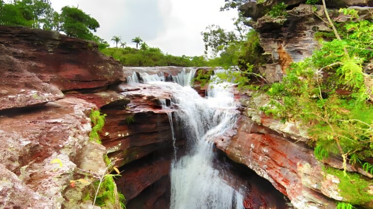 cano-cristales.remini-enhanced