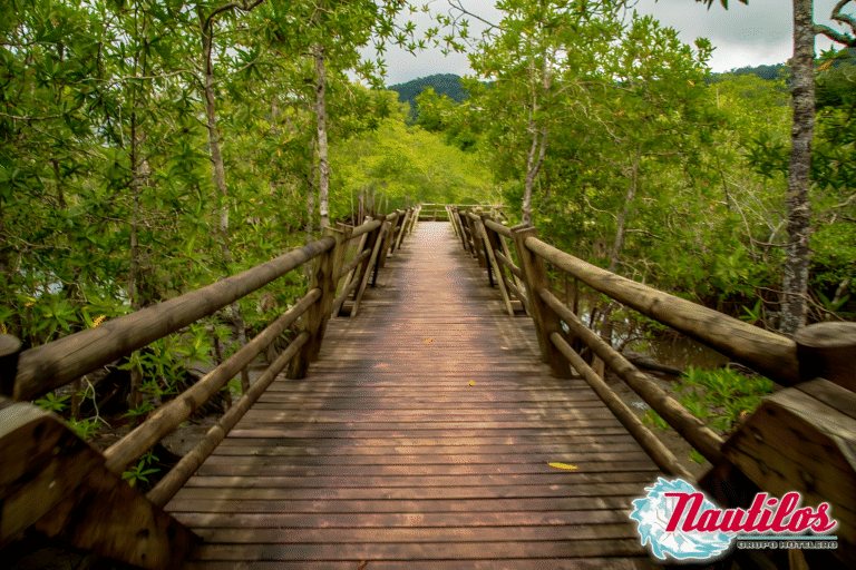 excursion-a-la-ensena.remini-enhanced