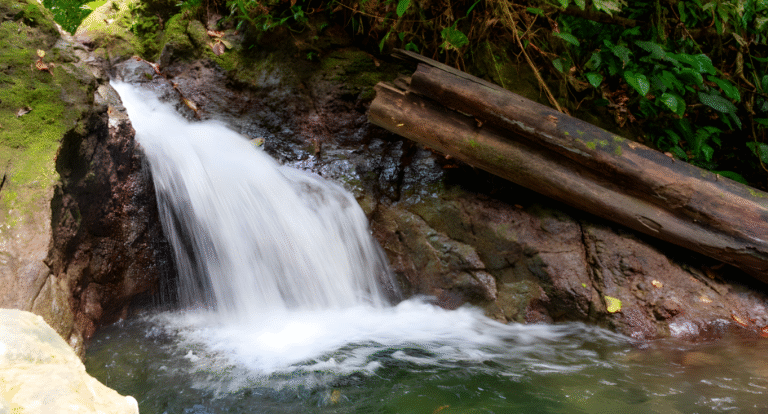 galeria-nuqui-experiencia-6-1.remini-enhanced