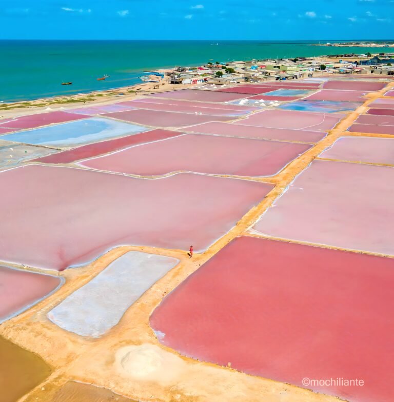 manaure.remini-enhanced