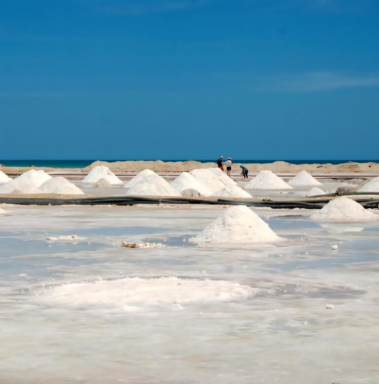 sal-de-manaure.remini-enhanced