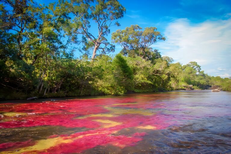 the-5-color-river.remini-enhanced