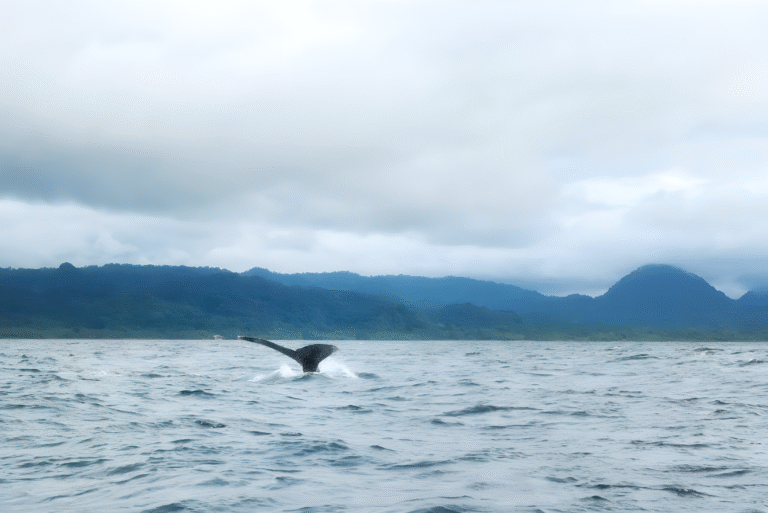 unnamed (4).remini-enhanced