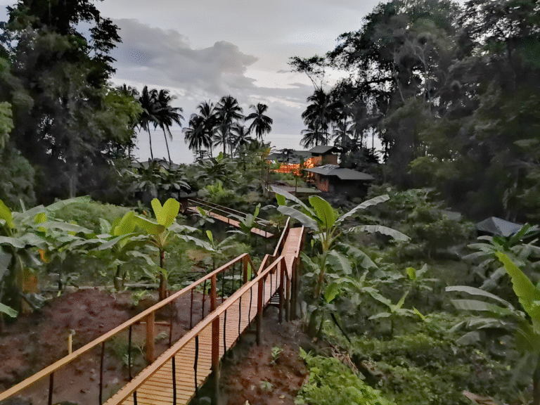 unnamed (6).remini-enhanced