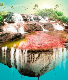 Caño Cristales, el río de los 7 colores en Colombia, con sus plantas acuáticas rojas y fucsias bajo el agua cristalina.